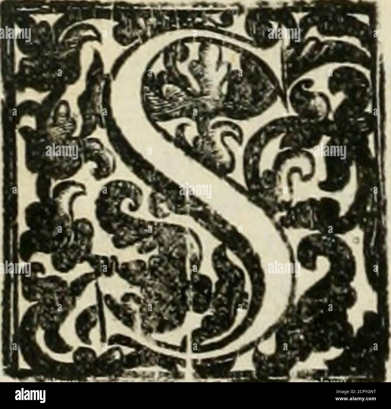 . Simboli predicabili estratti da sacri evangeli che corrono nella quadragesima . Che l* Huomo (Quando Fi [degnaaffatto /* ejfere DISCORSO DE. Ono tanto Angolari , emarauigliofe dell hu-mano intellinetto linuen-tioni, che ioperniedibuonavoglia mi fotto-fcriuo al parere delgran scrittore deNatu-rali fecreti, che non al- trimentelhnomodasè folo 1 habbia ritroiiiate, rnà che dal Diuino in-Tlin.WERFL fl §.fulegate ^non. Non altri, che Dio, che tuona, P/.I7. Intontiit de Ccelo Dominus , potè infegnarallhuomo Stockfoto