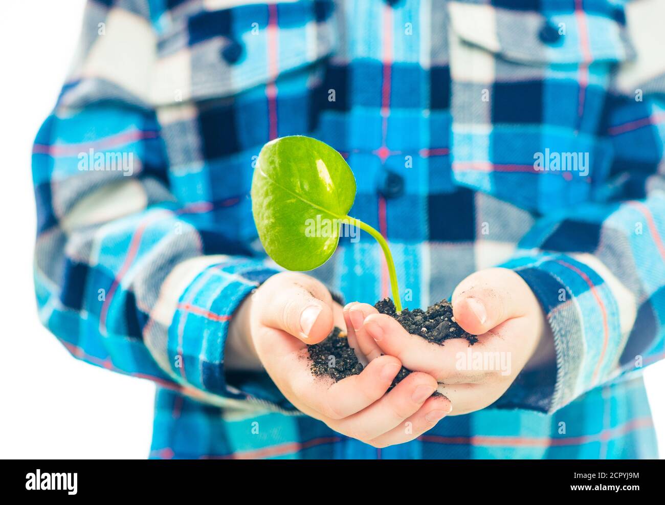 Junge hält grünes Blatt mit Erde in offenen Handflächen Stockfoto