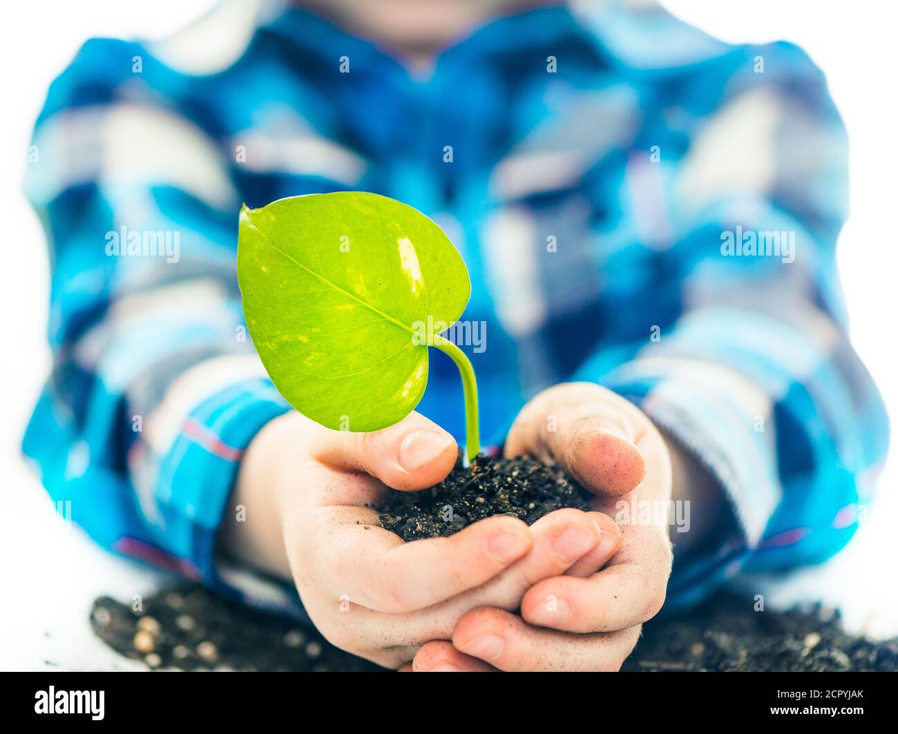 Junge hält grünes Blatt mit Erde in offenen Handflächen Stockfoto