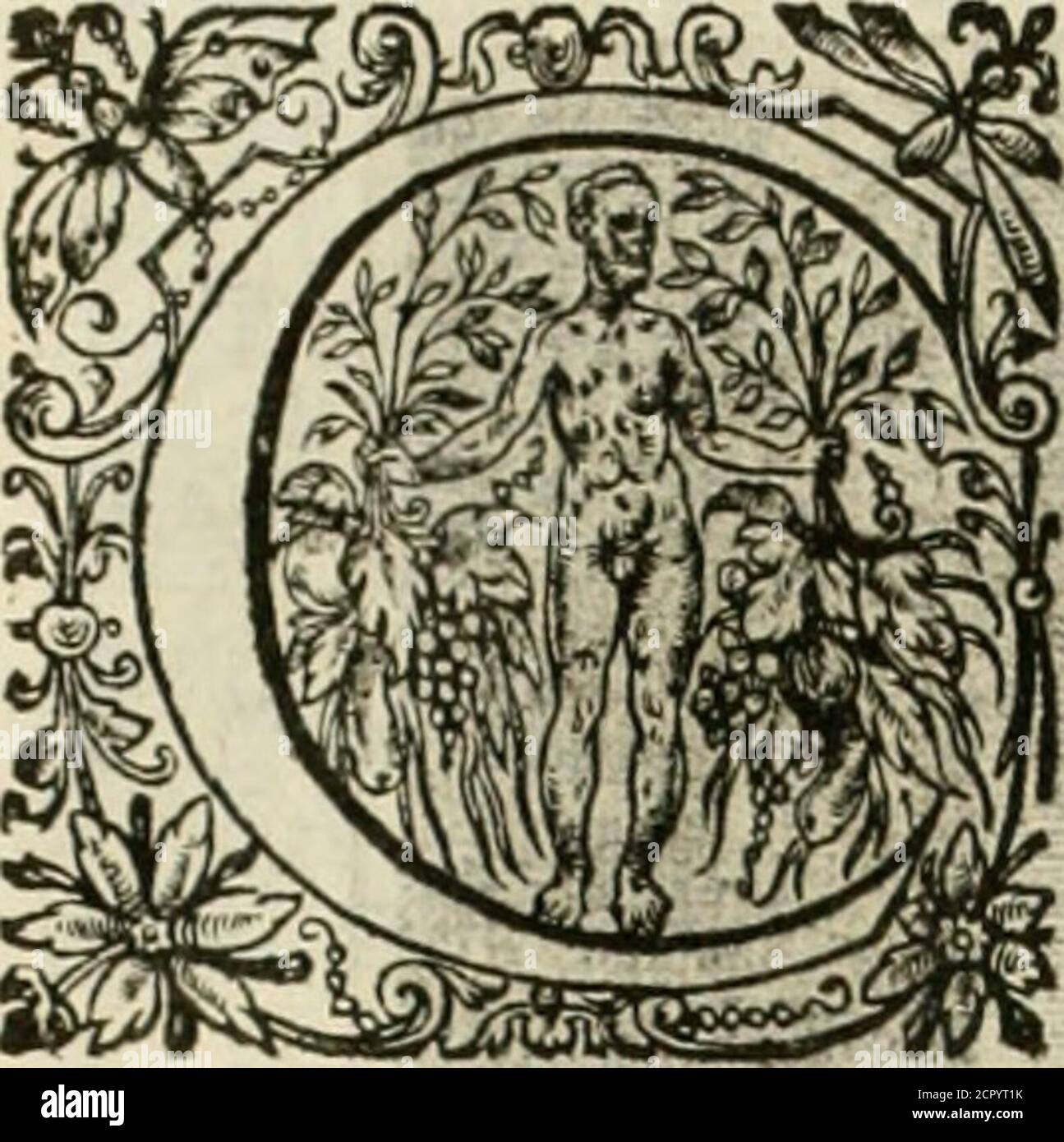 . La Doktrin des murs, tiree de la Philosophie des stoiques, representee en Cent tableaux et expliquee en Cent discours pour l'instruction de la ieunesse . Confelt:, ambitieux, ce que tu vois i^y.et ton cœur Aura fait un excellent ejlude.Lepauure vertueux vit Fans ino^uietude;et le riche mefchant nefi iamais Fans foucy. LA DOKTRIN DES MOEVR-S.. EXPLICATIOJI BV CINQF^ANTE-D EF^XIES M £ TABIEAF. OMME Fi ce neftoit pas afTez des craintes & des foins doncles auares font tourmentez^ toutes les fois quils nazar-dent leurs biens, il le font encore des démons familiersqui habitent leurs cabinets & l Stockfoto . La Doktrin des murs, tiree de la Philosophie des stoiques, representee en Cent tableaux et expliquee en Cent discours pour l'instruction de la ieunesse . Confelt:, ambitieux, ce que tu vois i^y.et ton cœur Aura fait un excellent ejlude.Lepauure vertueux vit Fans ino^uietude;et le riche mefchant nefi iamais Fans foucy. LA DOKTRIN DES MOEVR-S.. EXPLICATIOJI BV CINQF^ANTE-D EF^XIES M £ TABIEAF. OMME Fi ce neftoit pas afTez des craintes & des foins doncles auares font tourmentez^ toutes les fois quils nazar-dent leurs biens, il le font encore des démons familiersqui habitent leurs cabinets & l Stockfoto