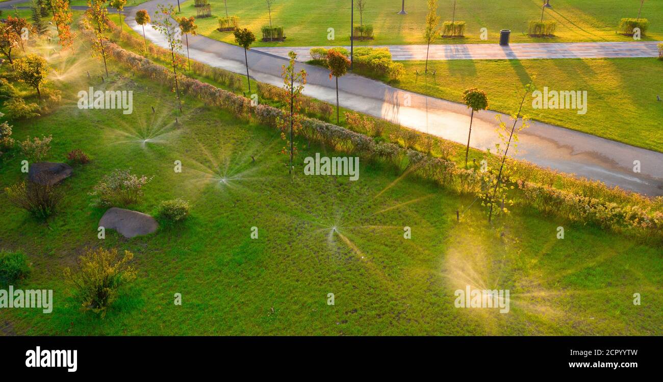 Automatische Bewässerung im Park bei Morgendämmerung Stockfoto