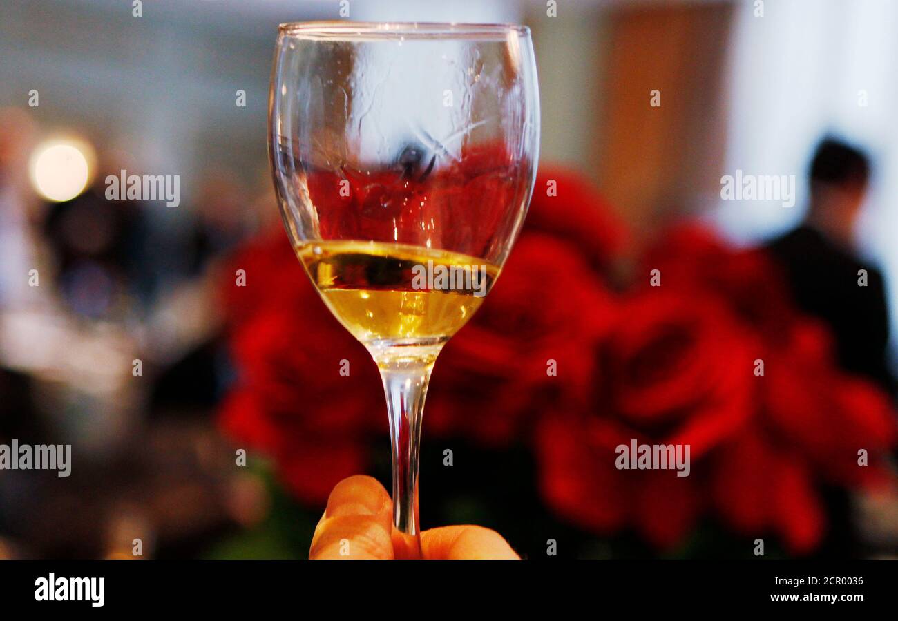 Ein Mann hält ein Glas Estasi Wein aus den Weinbergen Passito während der  Vino 2010 Italienisch Weinwoche-Veranstaltung in New York, 5. Februar 2010.  REUTERS/Shannon Stapleton (Vereinigte Staaten - Tags: Gesellschaft  Stockfotografie - Alamy