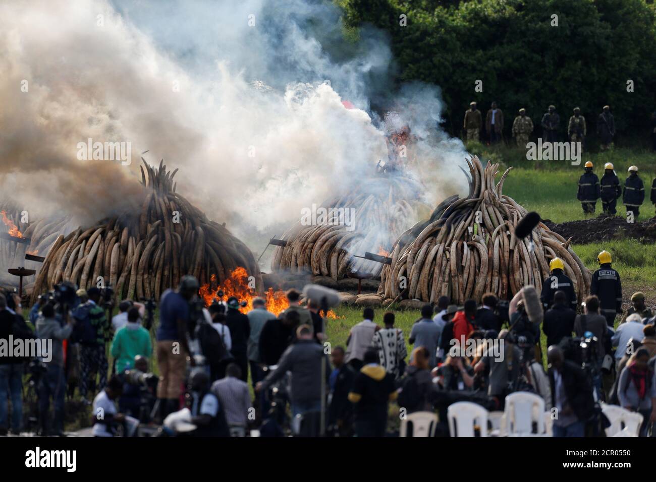 Eine allgemeine Ansicht zeigt einen Teil von 105 Tonnen Elefantenbuschelfenbein, das von Schmugglern und Wilderern beschlagnahmt wurde, die im Nairobi National Park nahe Nairobi, Kenia, am 30. April 2016 brennen. REUTERS/Thomas Mukoya TPX-BILDER DES TAGES Stockfoto