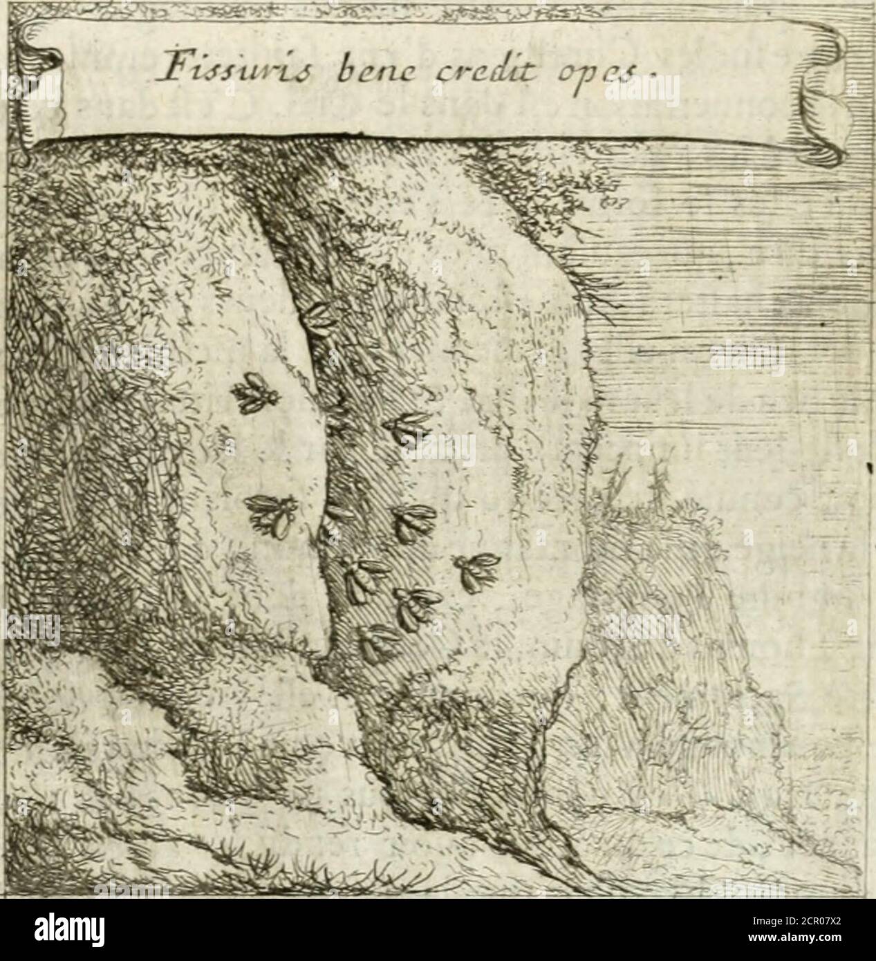 . Embleme sacrez sur le tres-saint et tres-adorable sacrement de l'eucharistie . e de la montagne de Sclmon, dont le nomqui fignifie lombrage , exprime dans la penfée de(aint Thomas Daquin, le Corps du Fils de Dieu danshoftre Sacrement, qui comme il eft viuant, & partonfont à En reçoit aufîi la teinturede pourpre. Ceft pourquoy nous nedeuons pas nouseftonner , de ce quaprès auoir rendu les amcs de Tesfidelles plus blanches que la neige par le don de lapureté virginale, il les fait infenfiblement plus écla-tantes que la pourpre par lamour des fouffi-ances &la grâce du martire Stockfoto
