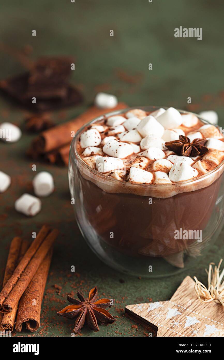 Heißer Kakao oder Schokolade mit Marshmallow, Anis, Zimt und Schokoladenstücken. Selektiver Fokus, grüner Hintergrund. Gemütliches Urlaubskonzept, Weihnachten Stockfoto
