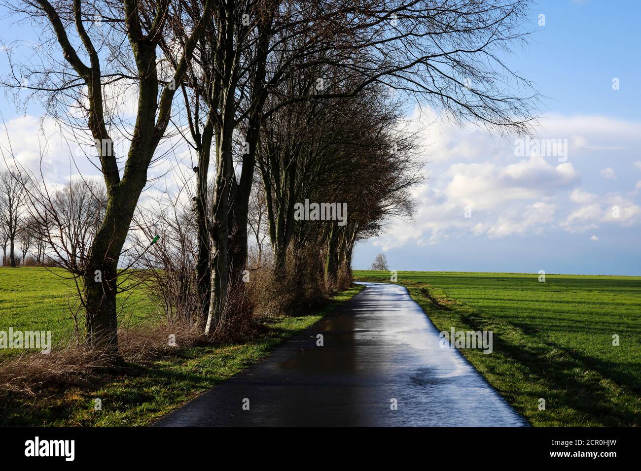 Sonnige Agrarlandschaft mit asphaltierter Schotterstraße nach Regenschauern, Ense, Nordrhein-Westfalen, Deutschland Stockfoto