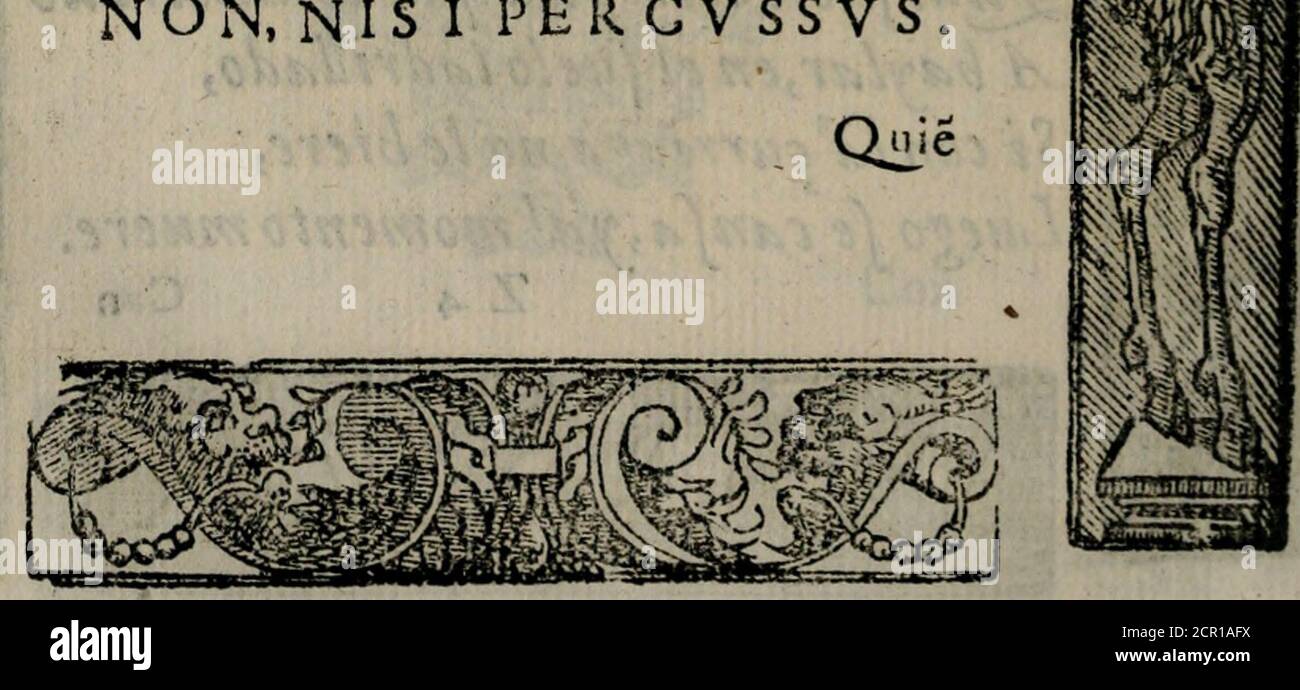 . Emblemas morales de Don Sebastian de Couarrubias Orozco ... . EMBLEMAS MORALES CAnfada cofa es auerde andar íiepre cóla varn,o el azote en la mano, para queelfieruo,o ei criado haga loque la razón pide.y Fu amolé mac!a,y atrueco denoromarpor CUS manos el hombre honrado oficio deverdugo, o cometer a otro le hagi,deuria eícufar el tener efclauos,pues délos criados,con mucha facilidad fe defearga, pagandoles Fu falario,y depidiédolosty yo halio pormi cuenta que eleíclauo es muebo Mas coitofo.y Mas peiigrofo,porque íirueforcado,y Íj vé la Fu y a,el menos mal es puirfe hazer . Mucho fe p Stockfoto