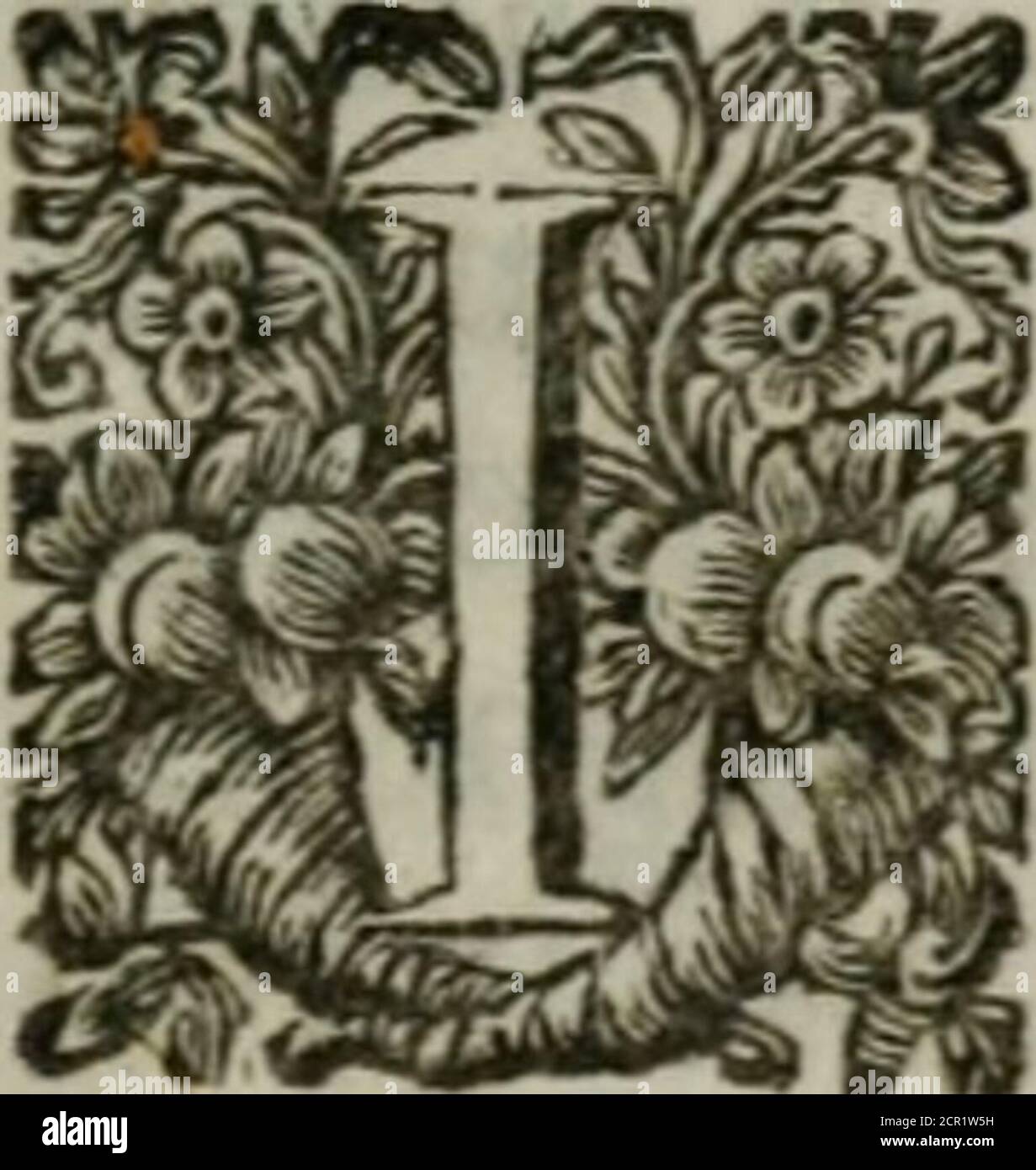 . Ein Essay nach Literatur: Oder, eine Untersuchung in der Antike und Original von Briefen; Nachweis, dass die beiden Tabellen, geschrieben durch den Finger Gottes auf dem Berg Sinai, war die erste Schrift in der Welt, und dass alle anderen Alphabete stammen aus dem Hebräischen; Mit einem kurzen Blick auf die Methoden, die von den Antienten, um den Wunsch der Buchstaben vor, und zur Verbesserung der Verwendung von ihnen, nachdem sie bekannt waren. A N ESSAY über das Original der Literatur, &c. T ist etwas, das fomething ftrange, das die Fülle der Verfasser in theWorld ansammelt, und die Vielzahl der Au-thors, die ihre La-Bours für die inftrudti veröffentlicht haben Stockfoto