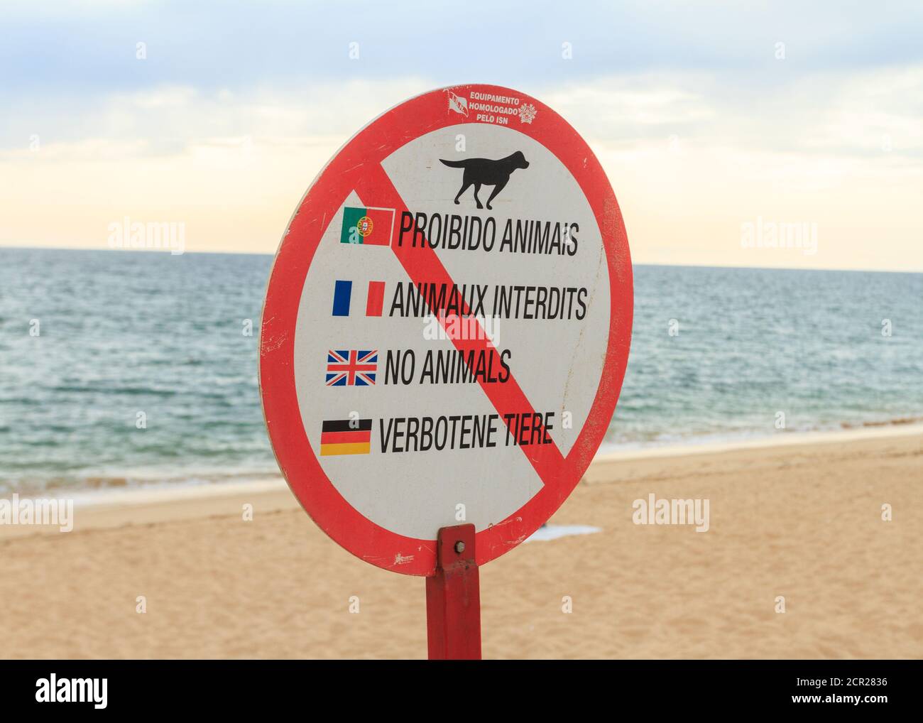 Kein Tierschild am Strandeingang in Faro, Portugal. Mehrsprachiges Zeichen; in Portugiesisch, Französisch, Englisch und Deutsch geschrieben. Stockfoto