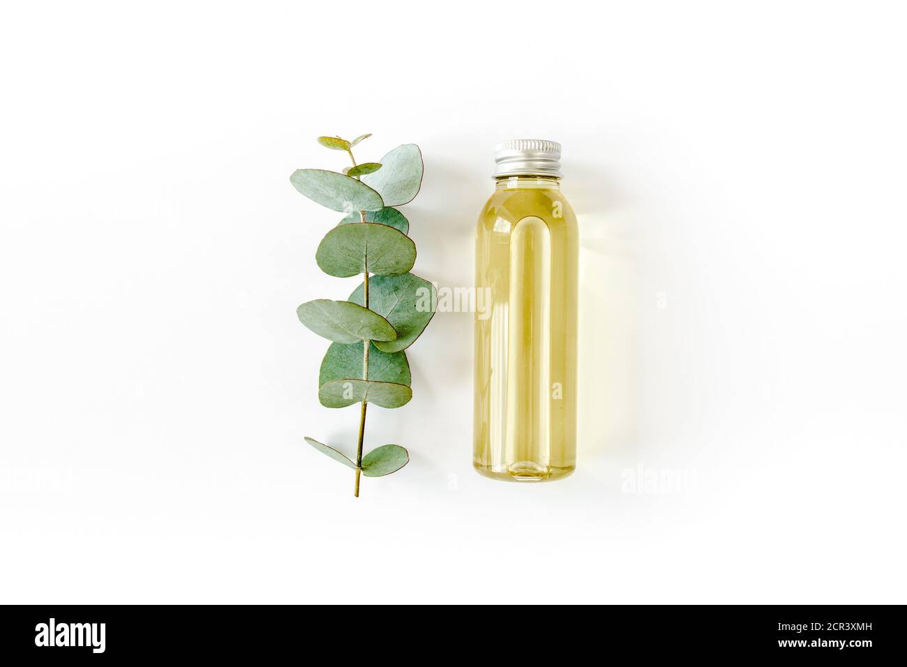 Flasche ätherisches Eukalyptusöl, Eukalyptusblätter auf weißem Hintergrund. Natürliche, organische Kosmetikprodukte. Flach liegend, Draufsicht. Stockfoto