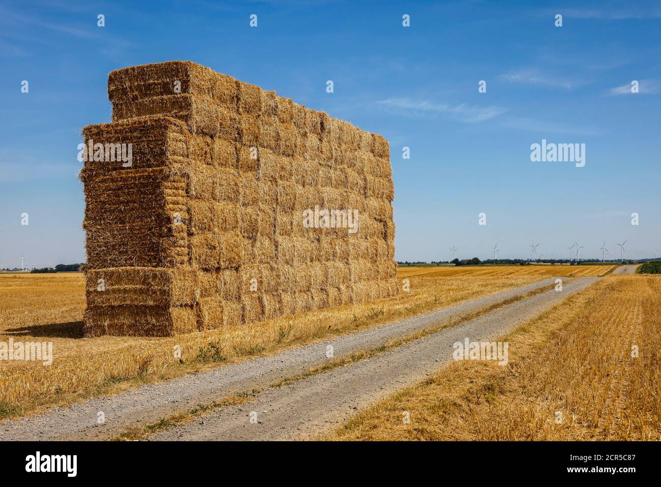 Linnich, Nordrhein-Westfalen, Deutschland - Strohballen nach der Getreideernte auf dem Stoppelfeld gestapelt. Stockfoto