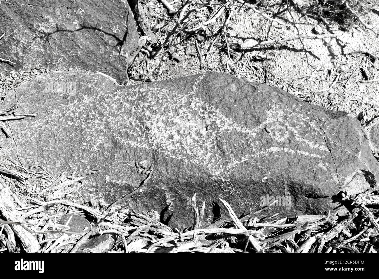 Three Rivers Petroglyph Site in New Mexico, prähistorische Jornada Mogollon Felskunst Stockfoto