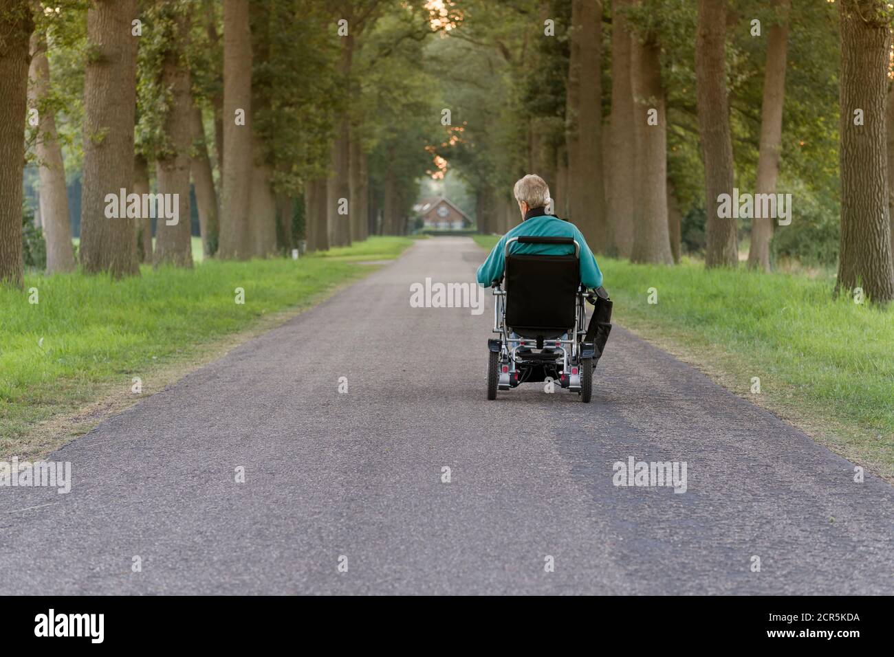 Rollstuhlfahrer in einer Allee am Morgen, Lochem, Niederlande Stockfoto