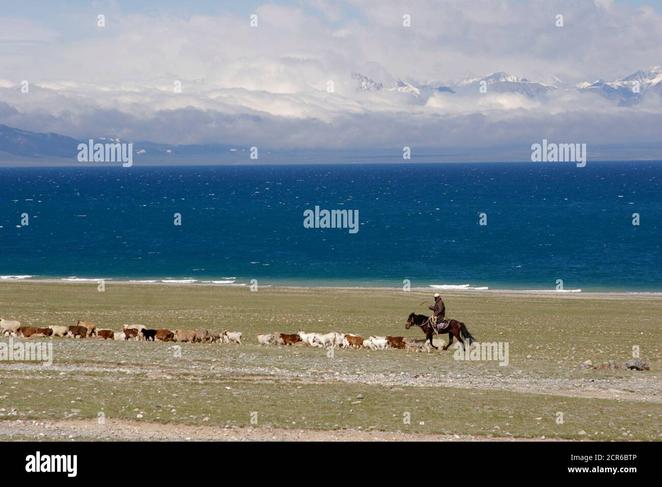 Hirte mit Schafen am Sayram See, Präfektur Bortala, in der Nähe von Yining, West Xinjiang, China 28. Mai 2005 Stockfoto