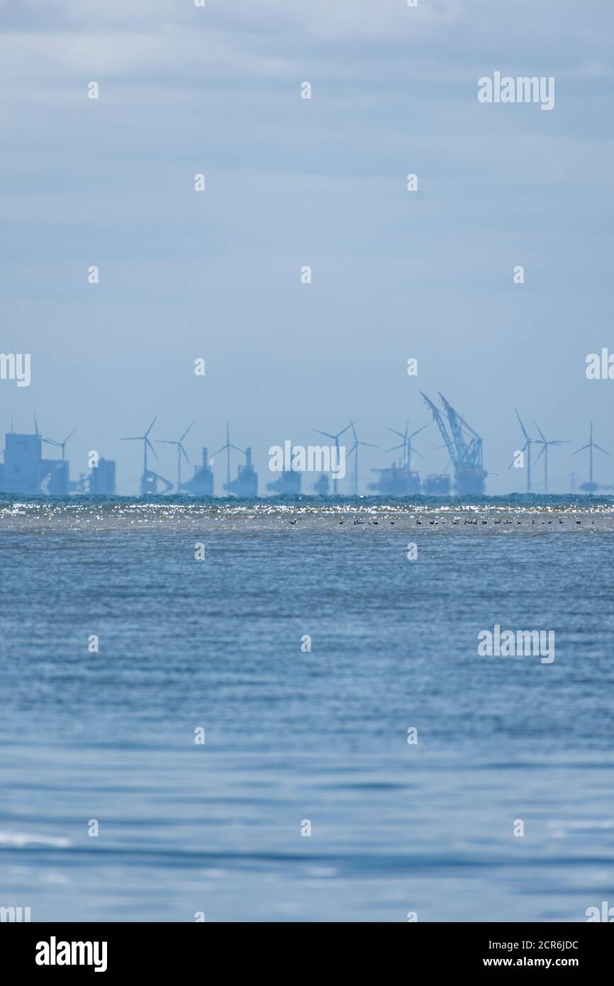 Niederlande, Eemshaven, Seehafen Stockfoto