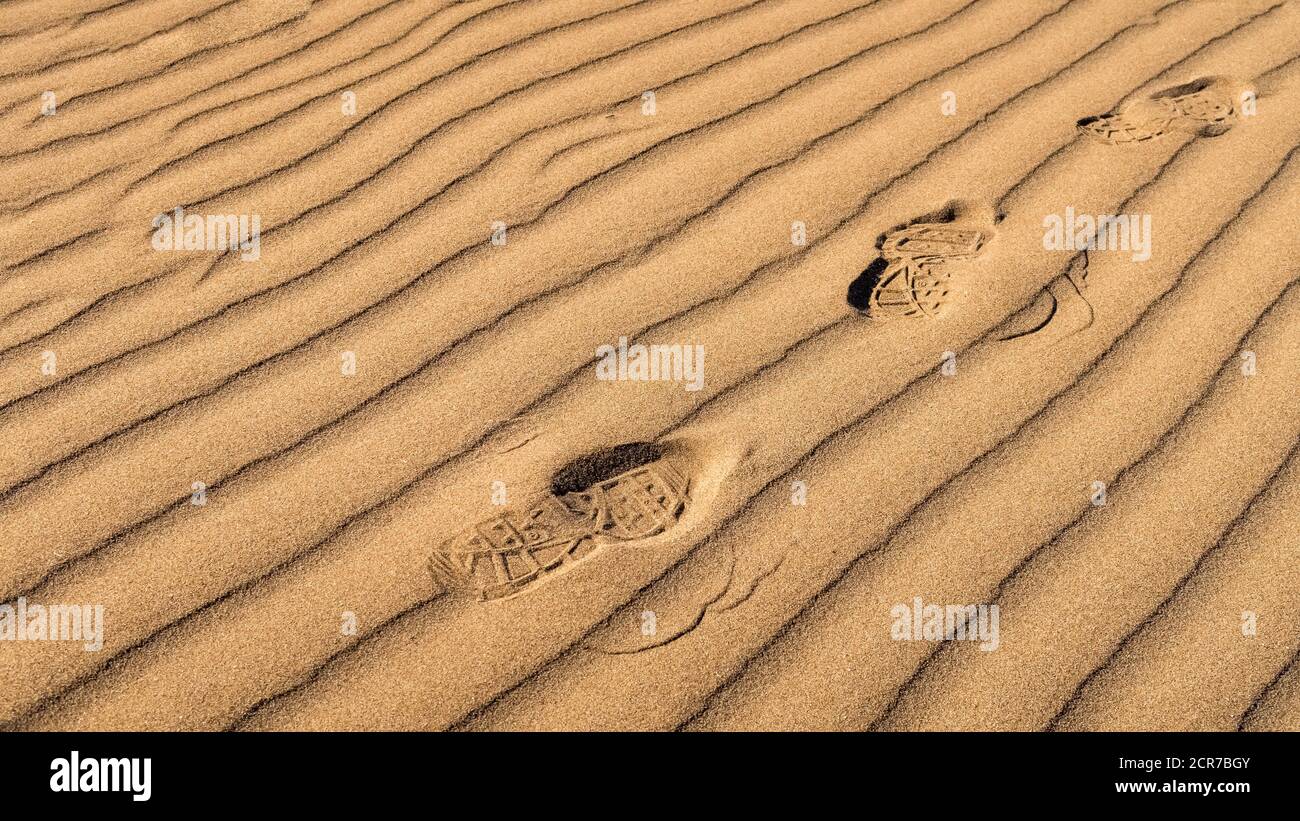 Spurem am Strand von Narbonne Plage im Sommer Stockfoto