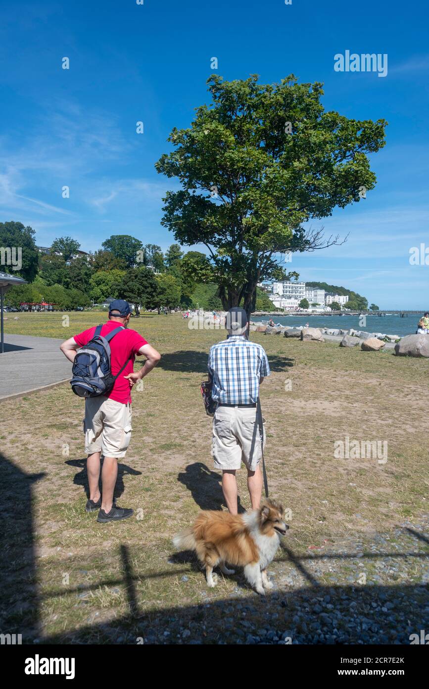 Deutschland, Mecklenburg-Vorpommern, Sassnitz, Touristen mit Hunden fotografieren einen Baum mit dem Fürstenhof Ferienhaus im Hintergrund, Rügen i Stockfoto