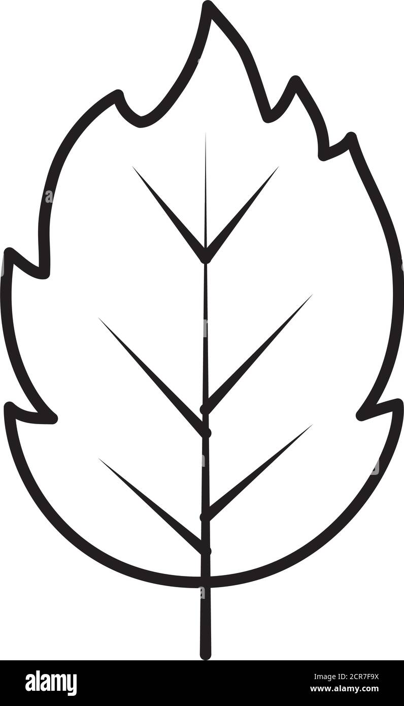 Trockenes Blatt-Symbol auf weißem Hintergrund, Linienstil, Vektorgrafik Stock Vektor