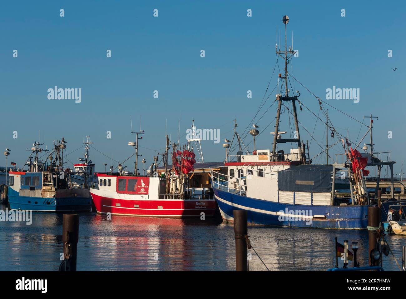 Deutschland, Mecklenburg-Vorpommern, Sassnitz, Fischertrawler im Stadthafen Sassnitz, Rügen, Ostsee Stockfoto