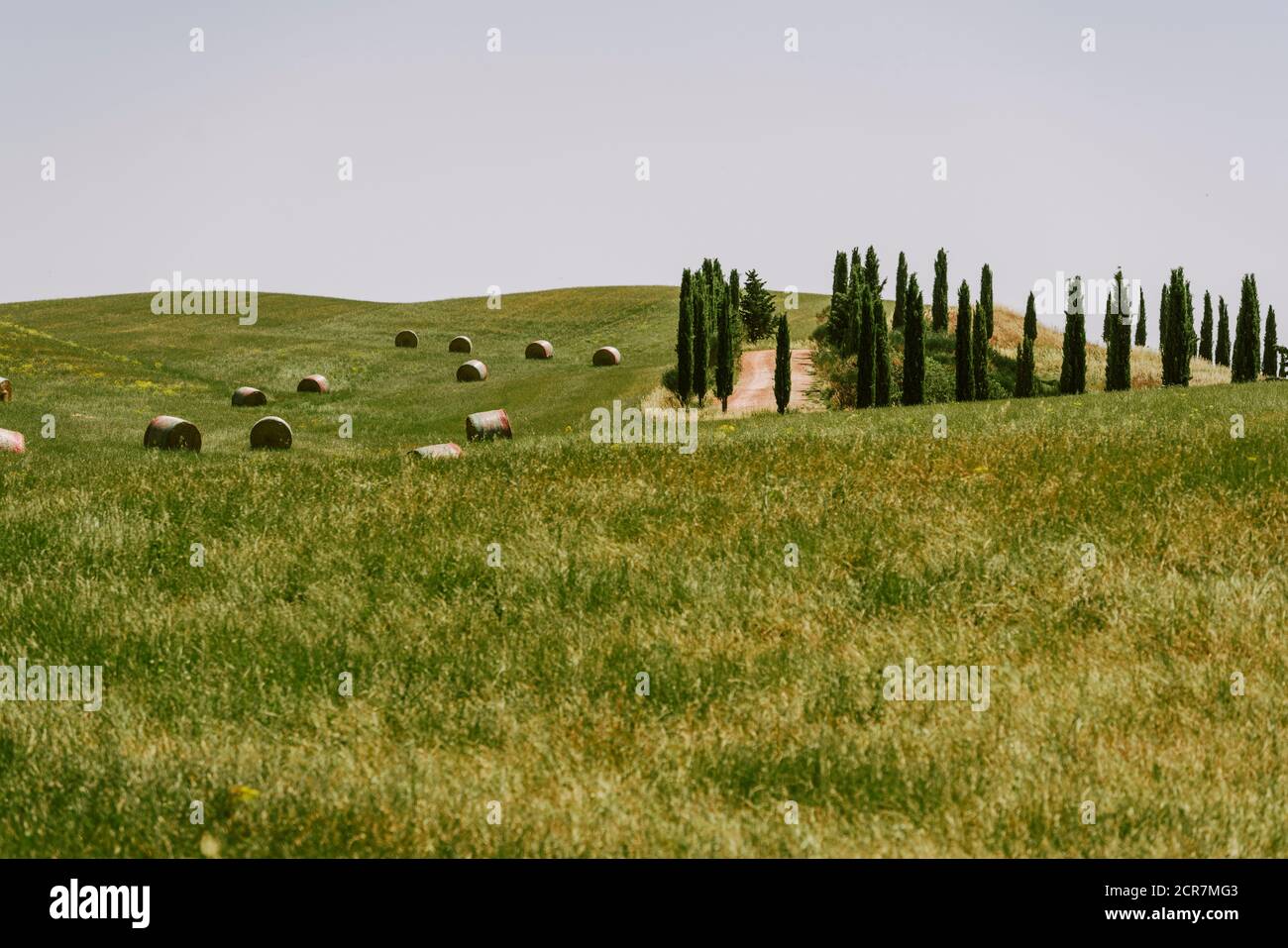 Europa, Italien, Toskana, Toskana Landschaft, Provinz Siena,Castiglione D'orcia, Heubälle auf dem Feld, Stockfoto