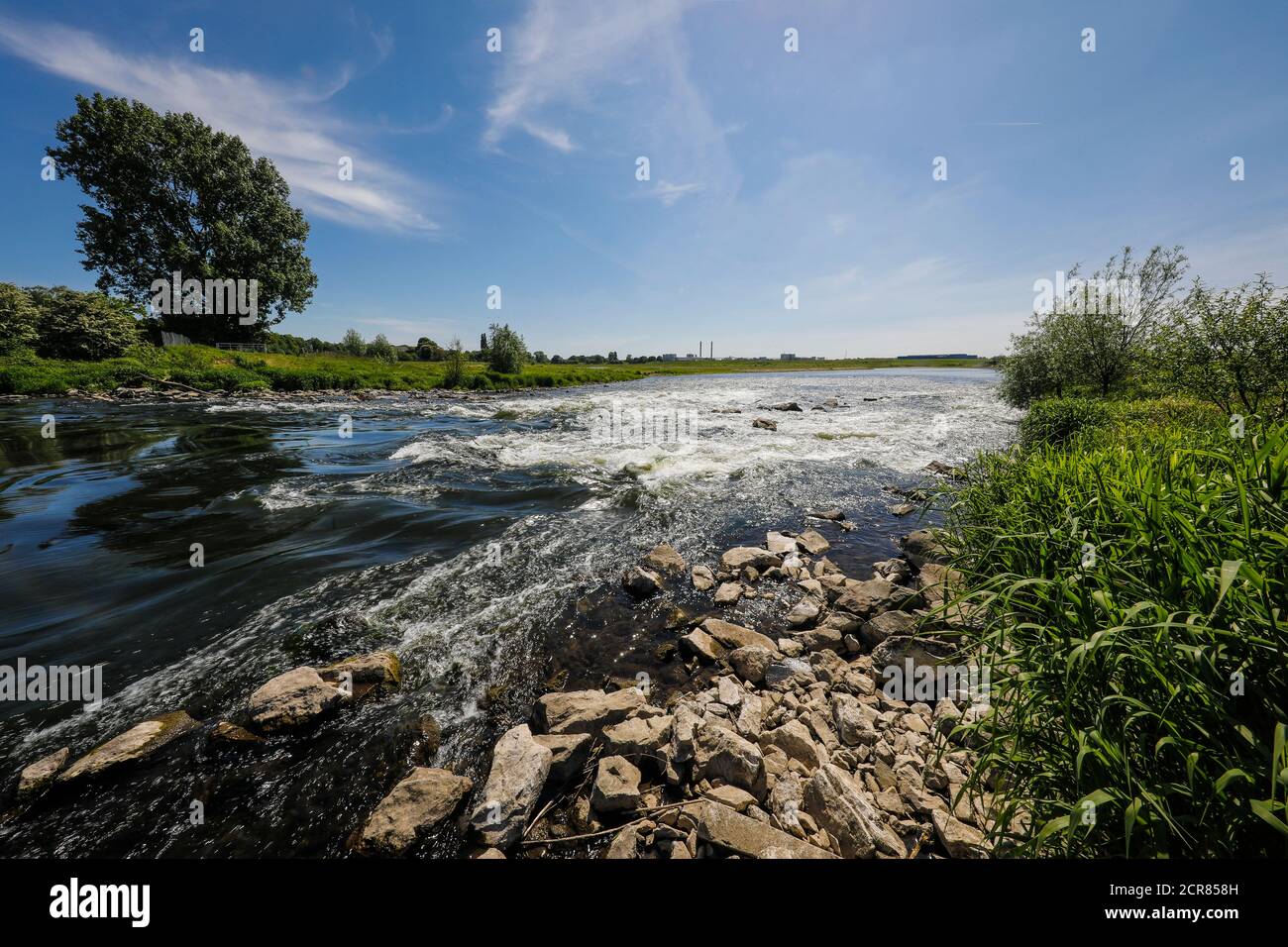 Lippe, renaturiertes Auengebiet stromaufwärts der Mündung der Lippe in den Rhein, Wesel, Niederrhein, Nordrhein-Westfalen, Deutschland, Europa Stockfoto