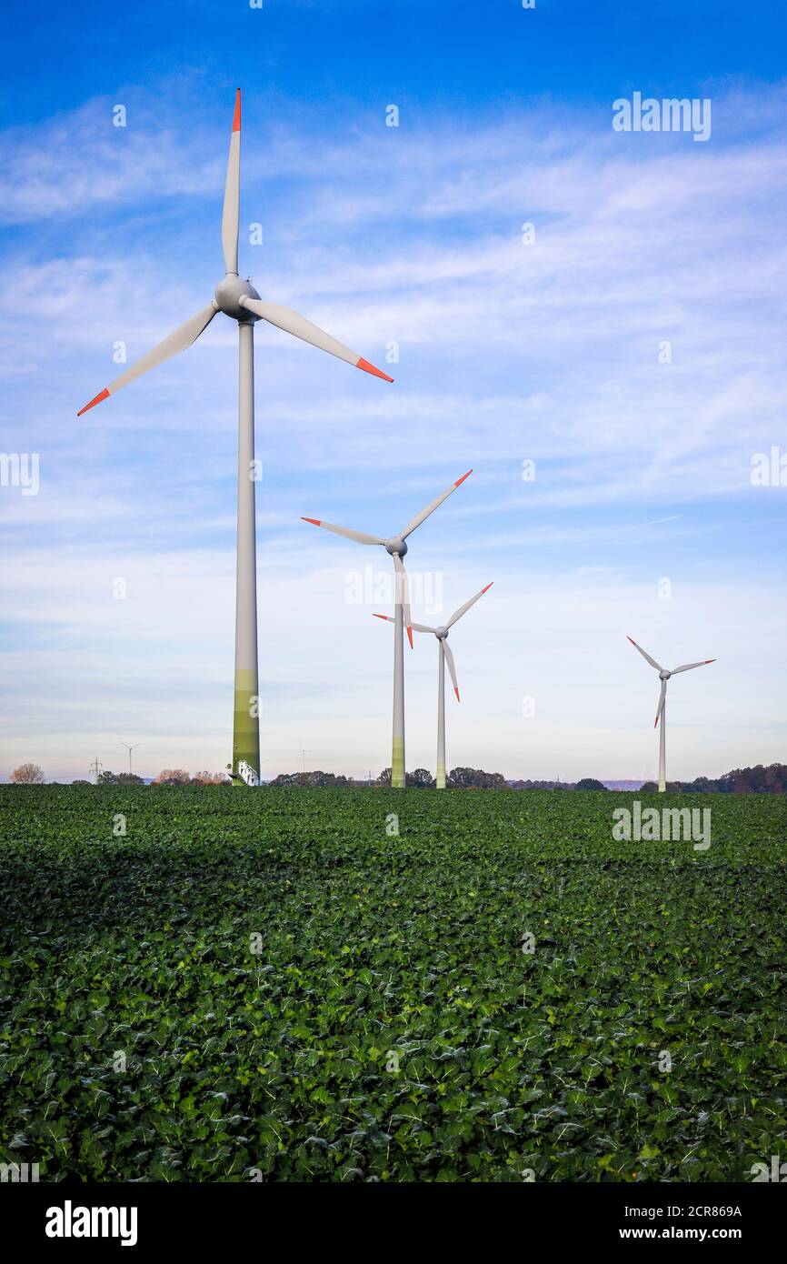 Windturbinen in einem Feld, Recklinghausen, Ruhrgebiet, Nordrhein-Westfalen, Deutschland Stockfoto