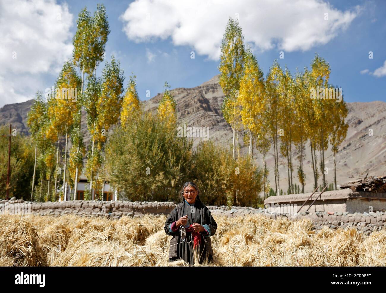 Tashi Phutit, 81, Weizen Landwirt und Hausfrau posiert für ein Foto in das  Dorf Stok, 15 km von Leh, die größte Stadt in der Region Ladakh im  indischen Himalaya, Indien 27. September