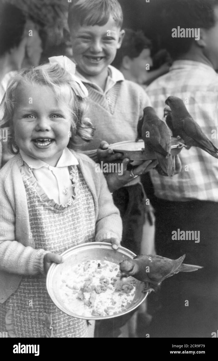 Ein junger Australier, der seine Babyfrontzähne vermisst, und seine jüngere Schwester lächeln 1966 im Currumbin Wildlife Sanctuary in Queensland für die Kamera, während sie die lokalen Lorikeet-Vögel (Trichoglossus moluccanus), eine Art australischer Papagei, füttern. Stockfoto
