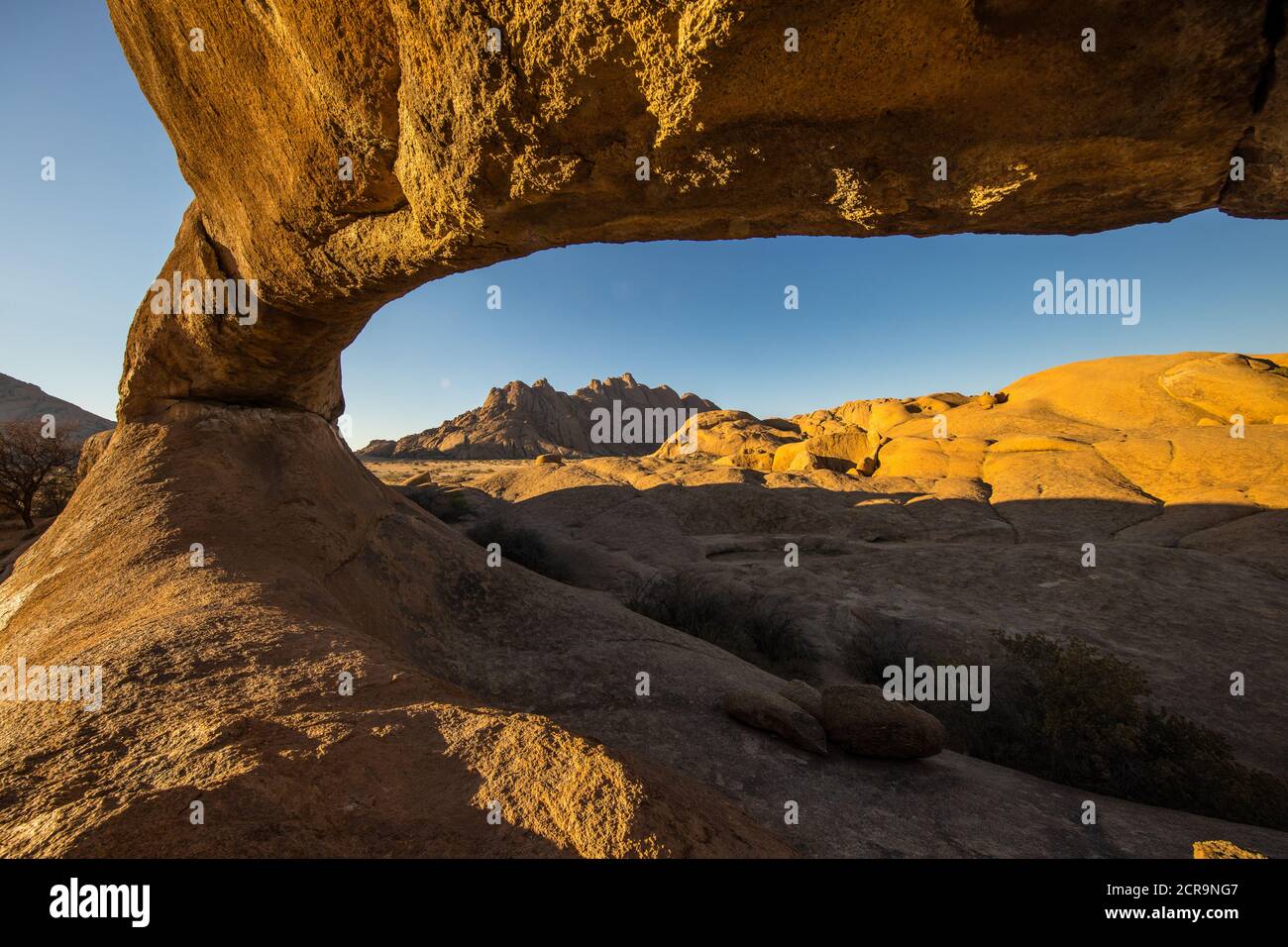 Felsen in der Wüste Stockfoto