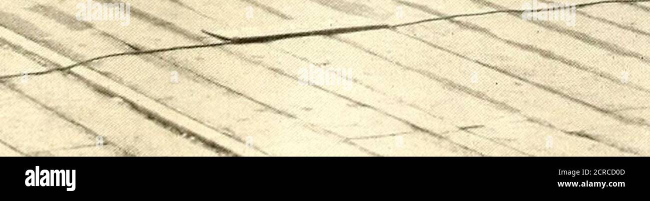 . Die Straßenbahn Zeitschrift . ABB. 10. - VERSAND-ABTEILUNG, ZEIGT GENERATOREN UNTER TEST Kreuz Verbindungsringe innerhalb der box-förmigen Guss der Wippe, so dass sie nicht sichtbar von der Vorderseite der Maschine. Das Unternehmen hat zwei große Testgruben in der Nähe der Auswanderungsabteilung (Abb. lo) zur Verfügung gestellt, in denen diese großen Maschinen errichtet und den strengsten Tests unterzogen werden. Sie sind Aufstieg und hohe efticienc} die sie zeigen. Eine 400-kw-Maschine, die einige Tage getestet wurde, da nach zehn Stunden Volllast 50 Prozent Überlast für zwei Stunden tragen musste und nur ein zeigte Stockfoto