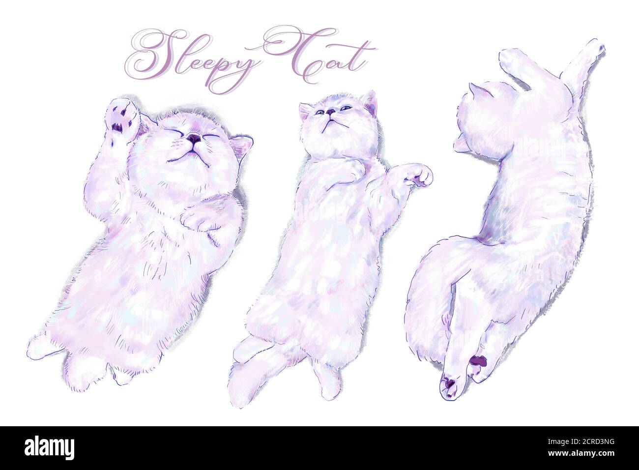 Liebenswert britische Kurzhaar Katze liegend in drei Posen, digitale Malerei. Stockfoto