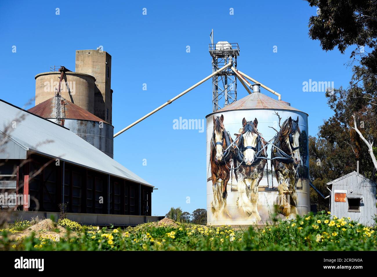 Silo Art Trail. Goorambat Australien. Jimmy DVATE's Arbeit von Shire Horses auf dem Getreidesilo der Stadt ist bei Touristen sehr beliebt. Stockfoto