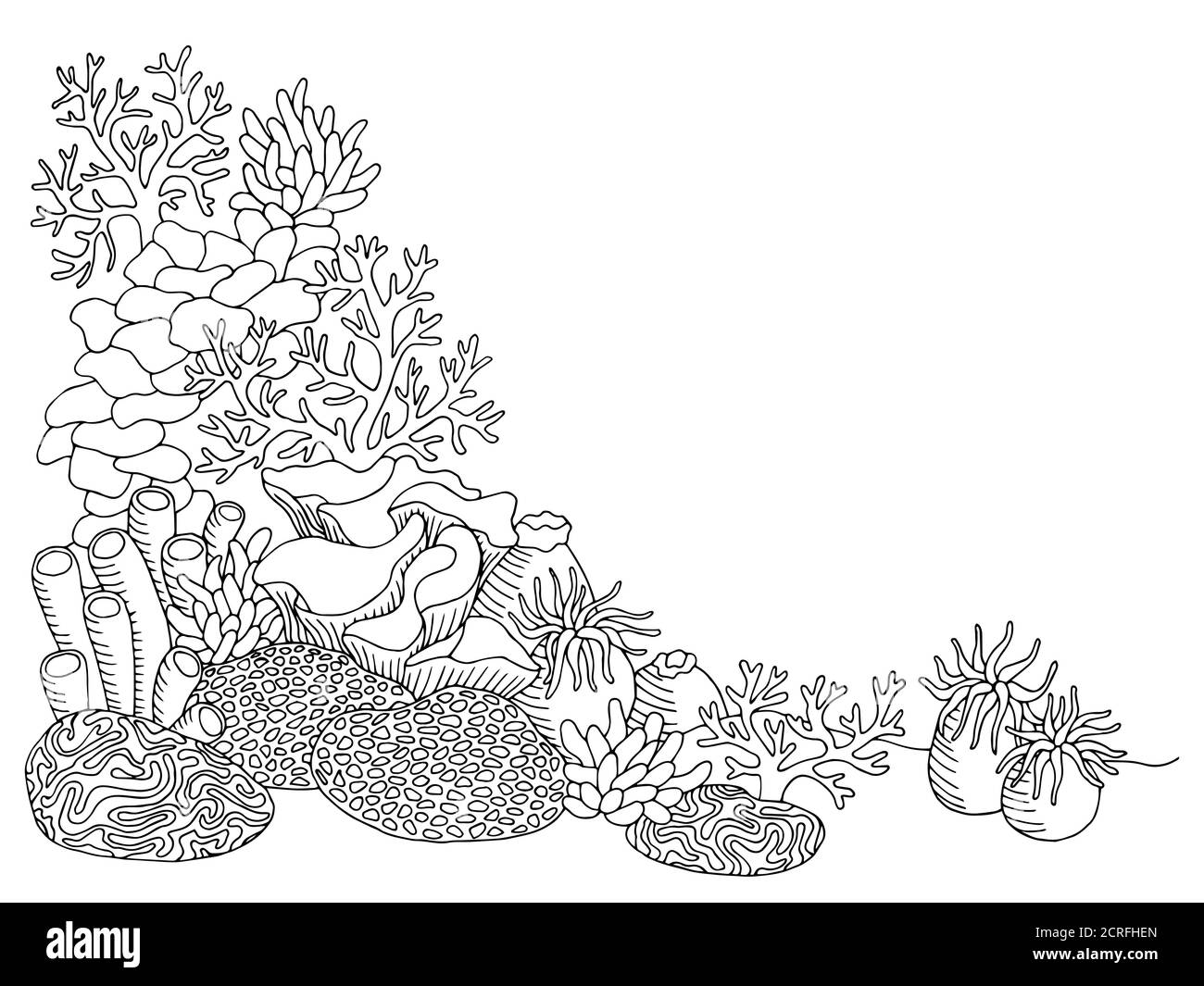 Korallen Meer Grafik Kunst schwarz weiß Unterwasser Landschaft Illustration Vektor Stock Vektor