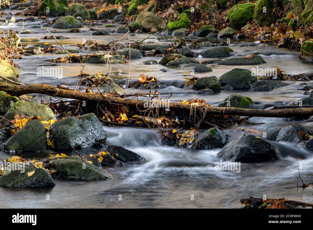 Eine Wasserfallkaskade mit Felsbrocken im Herbstbach mit gefallenen Blättern an einem felsigen Ufer. Wasser fließt um die Steine im Fluss. Stockfoto