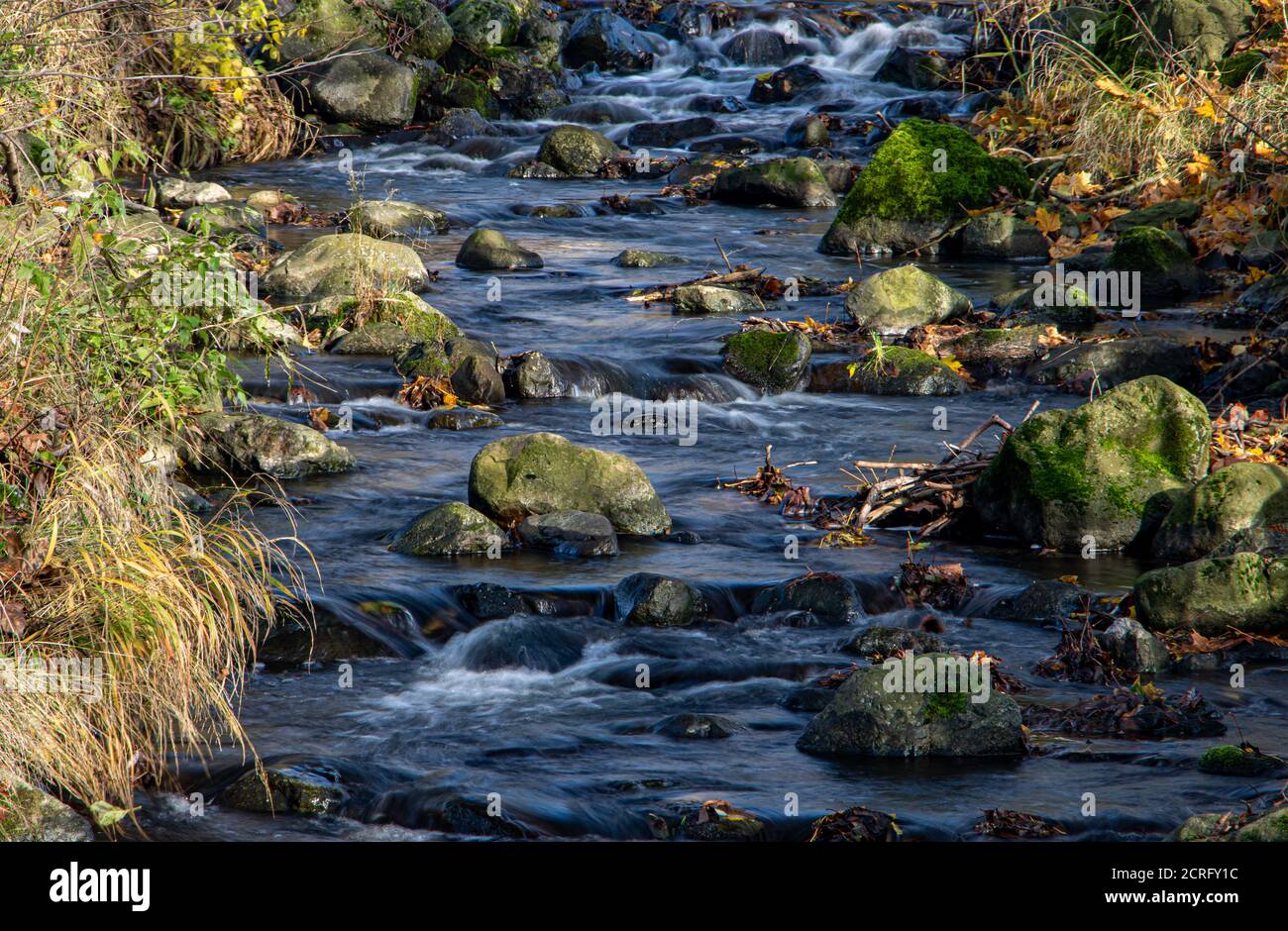 Herbstlaub im Bach. Herbstbach mit abgefallenen bunten Blättern. Die Wasserfallkaskade im Bach mit den Felsen. Stockfoto