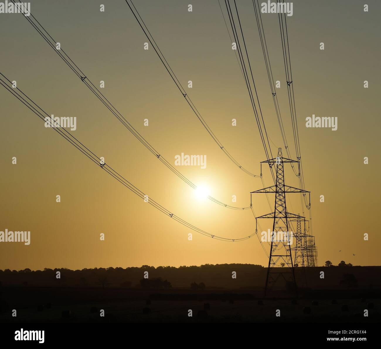 Elektrische Stromleitungen, die bei Sonnenaufgang zu Pylonen/Türmen führen. Stockfoto