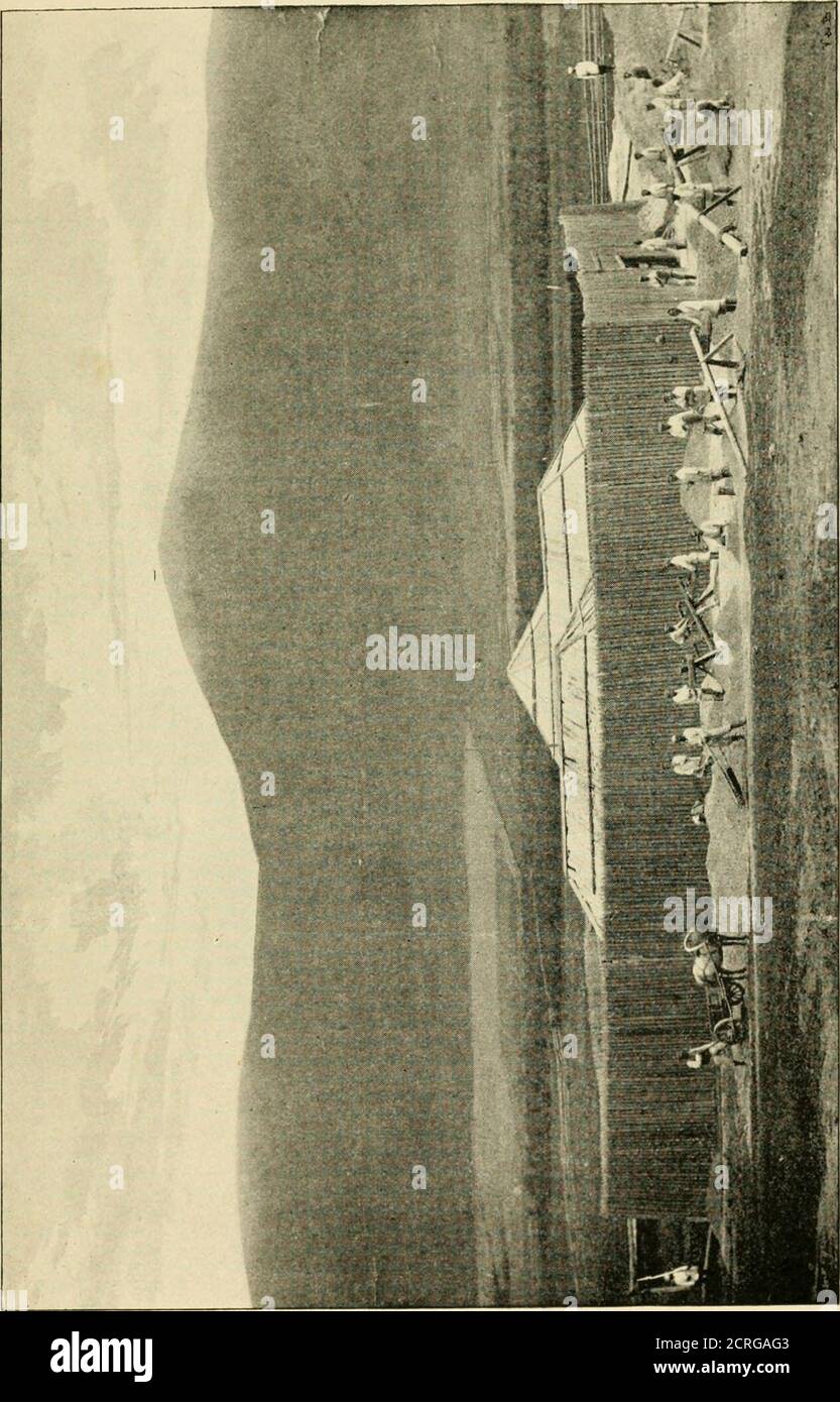 . Side-Lichter auf Sibirien; einige Konto der großen sibirischen Eisenbahn, die Gefängnisse und Exil-System; . ed durch die averagebettler ist nicht umfangreich, und dass ursprünglich aus der Taiga zurückgewonnen, es reich an Wurzeln und Requirstime zu Ackerland von jeder Qualität zu entwickeln. Fast 700dcsiatine wurden auf diese Weise im Jahr 1895 zurückgewonnen. Seedmuss dick gesät werden,^ da es im Winter nicht ausreichend geschützt ist und somit seine Vitalität verlieren kann. Der Boden ist meist ein schwerer Ton, wie er in Eussia nördlich der Region tchernoziom gefunden wird. Jene Siedler, die den Norden oder bewohnen Stockfoto