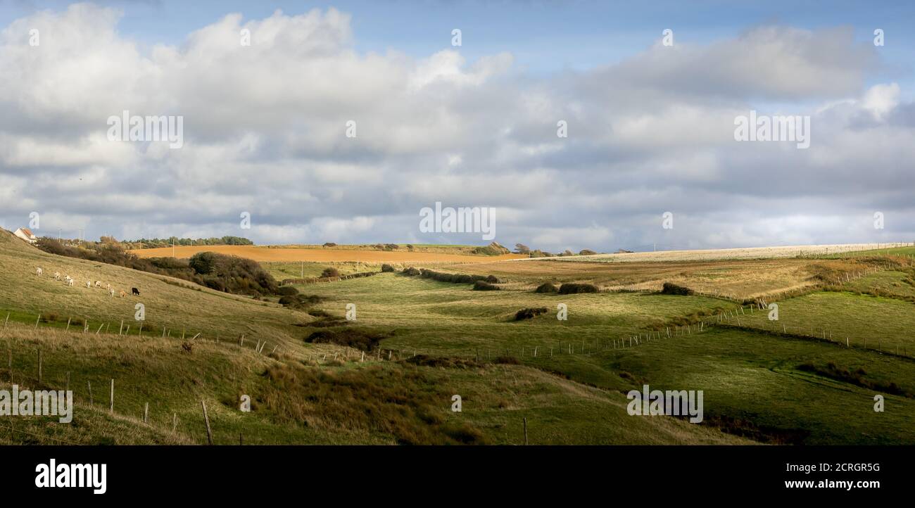 Land, Wiesen und Felder an der Opalküste Stockfoto