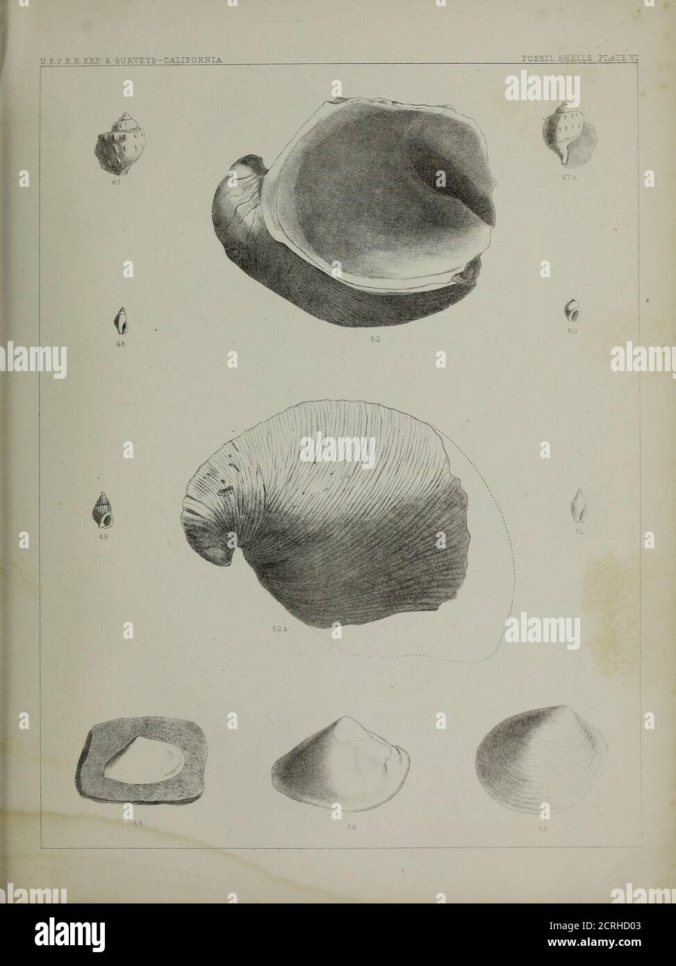 . Berichte von Erkundungen und Erhebungen, um die praktischste und wirtschaftlichste Route für eine Eisenbahn vom Mississippi zum Pazifischen Ozean zu ermitteln. Stockfoto