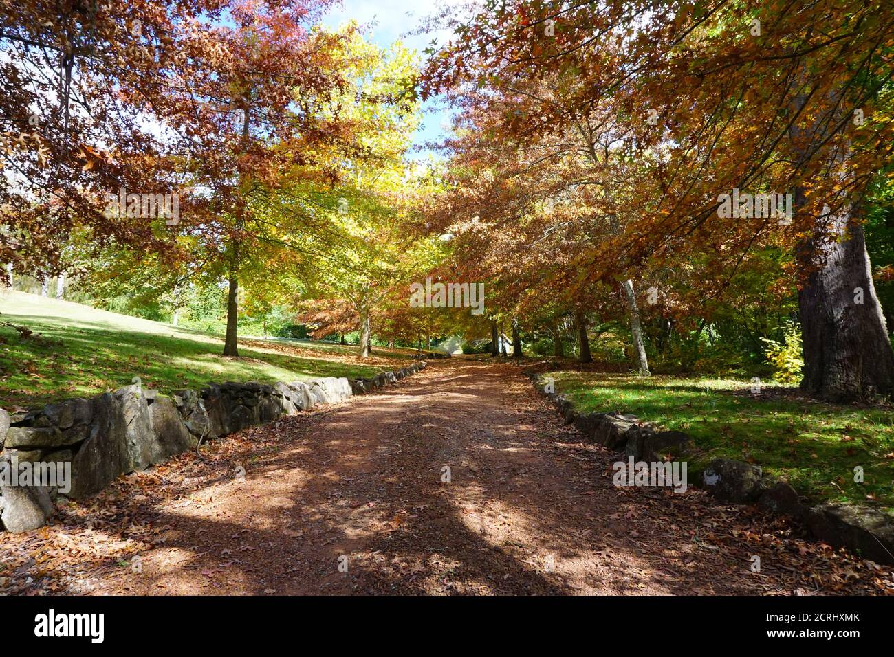 Herbst, Herbst, Herbsturlaub, gelbe Blätter, Herbstfarbe Stockfoto