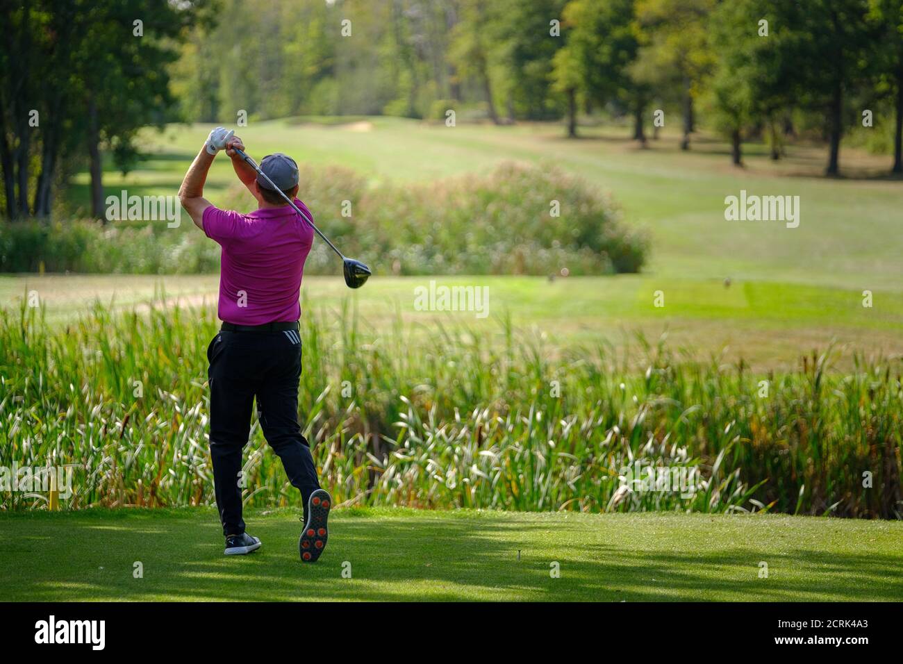 Rückansicht des männlichen Golfers mittleren Alters, der auf sonnigem Golf fährt Kurs Stockfoto