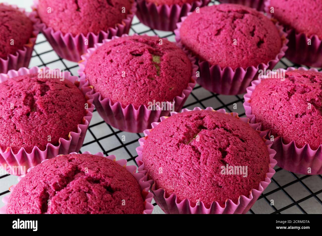 Köstliche Spaß fuchsia bunte Cupcakes Stockfoto