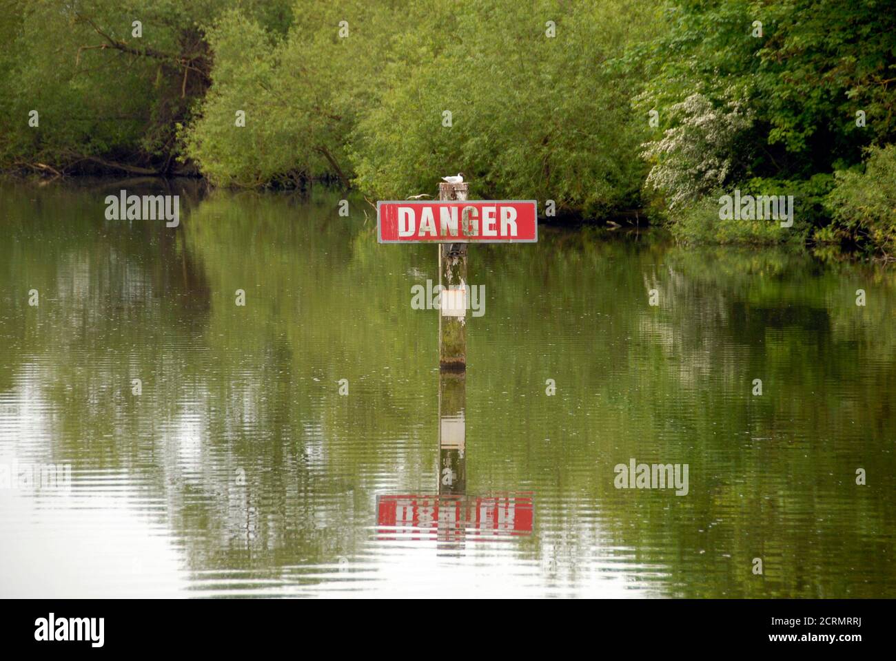 Gefahrenschild im Wasser der Themse in Oxfordshire, England ohne offensichtliche Beweise für die Gefahr und mit Vogelrese auf dem Postweg Stockfoto