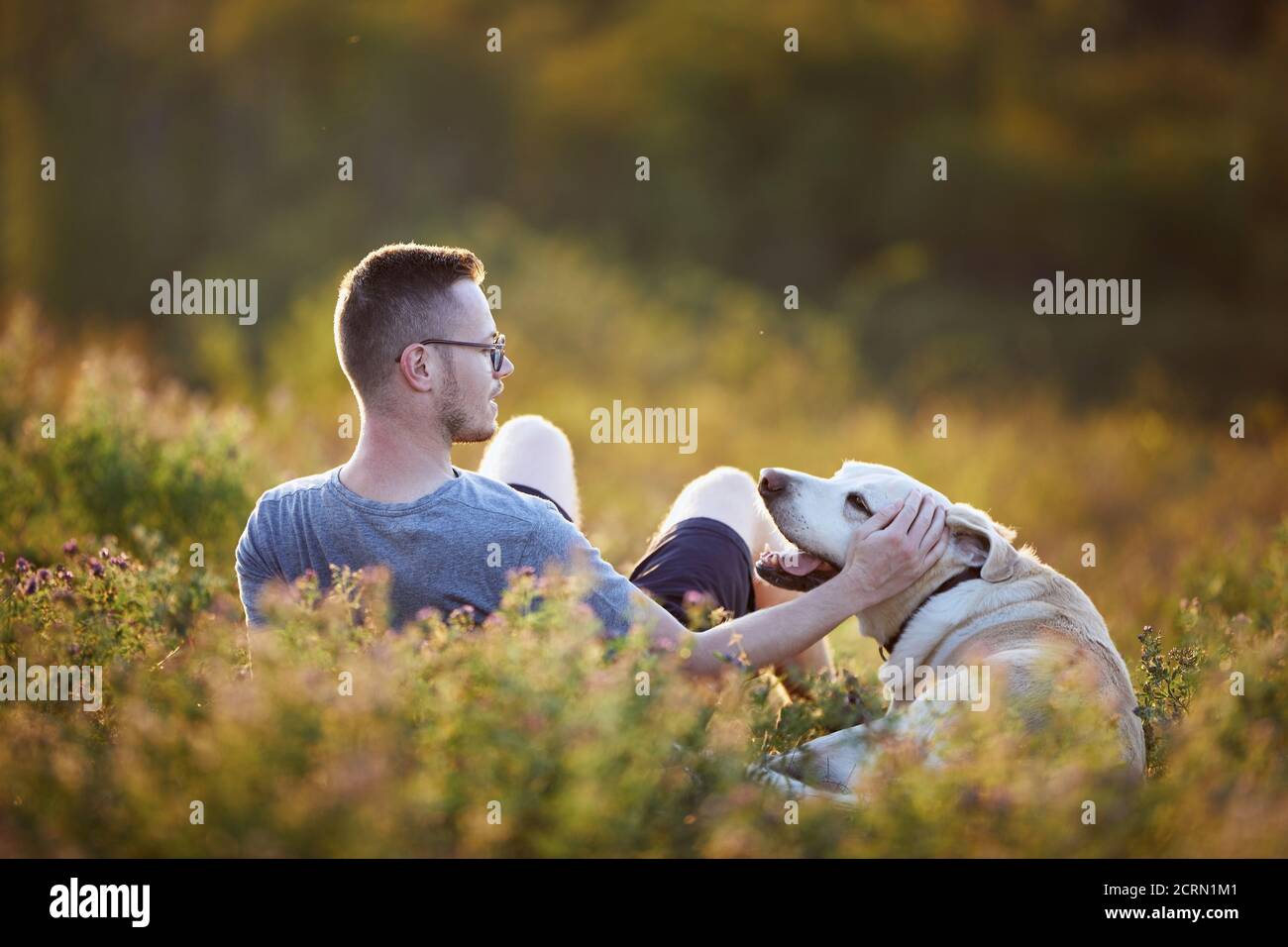 Mann mit Hund auf Wiese bei Sonnenuntergang. Haustierbesitzer streichelte seinen süßen labrador Retriever im Gras. Stockfoto