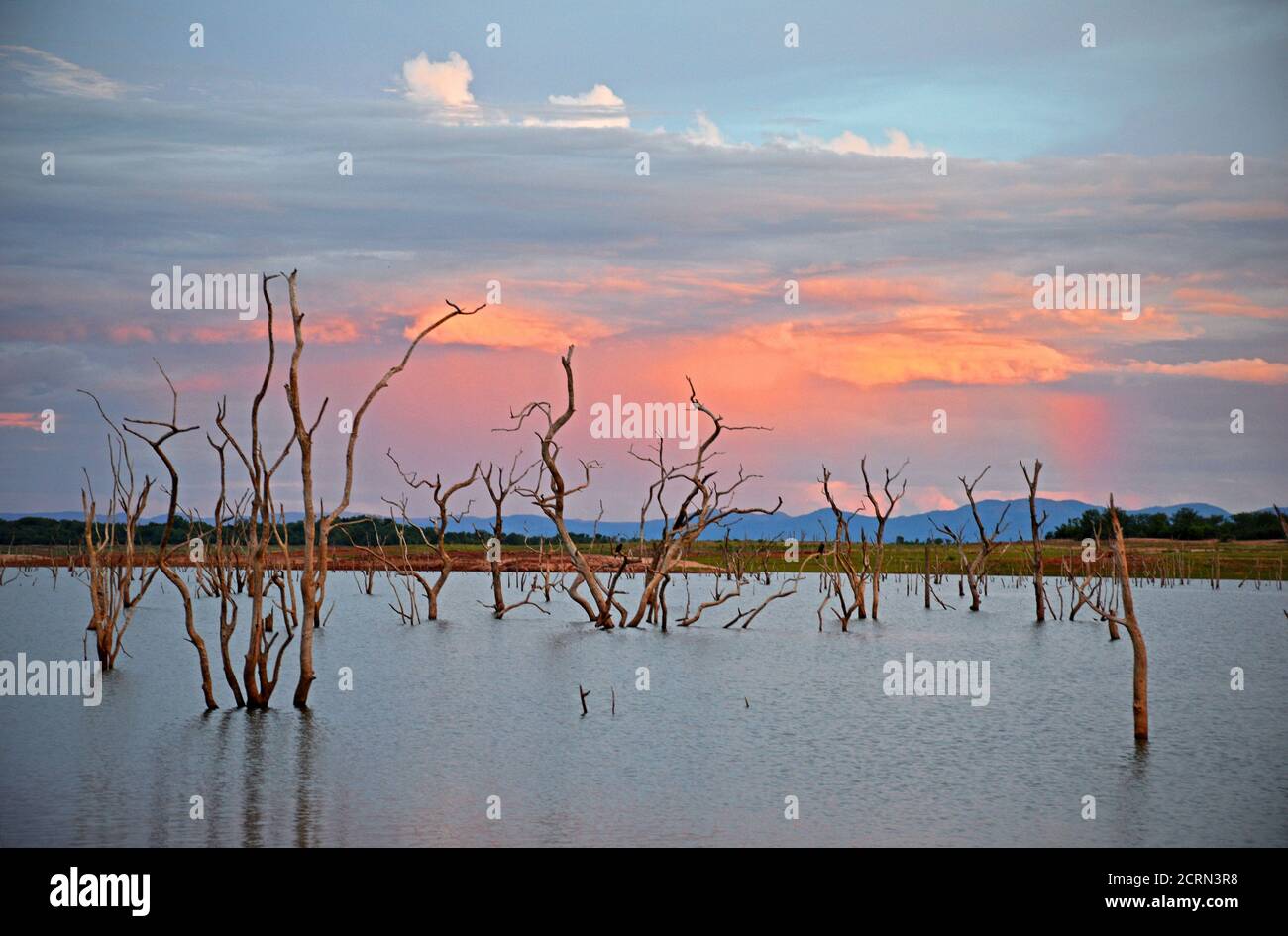 Sonnenuntergang über dem Kariba-See in Simbabwe Stockfoto