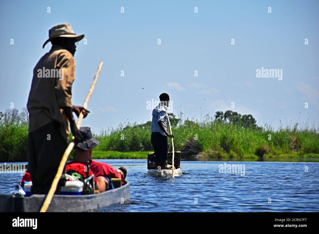 Das Okavango Delta in Botswana Stockfoto