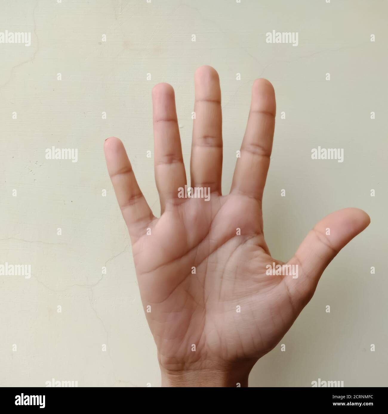 Gebärdensprache, EINE Collage der amerikanischen Zeichensprache Numerik 5, fünf von weiblicher Hand isoliert auf weißem Hintergrund. Stockfoto