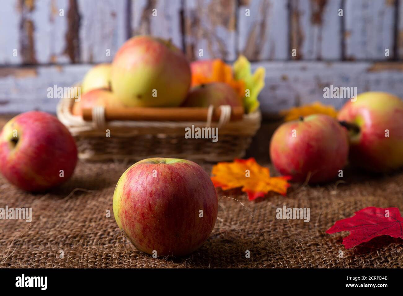 Reife Äpfel auf Sackleinen und in einem Korb. Rustikaler Stil, Nahaufnahme. Stockfoto