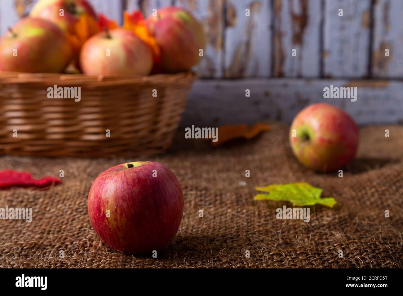 Reife Äpfel auf Sackleinen und in einem Korb. Rustikaler Stil, Nahaufnahme. Stockfoto