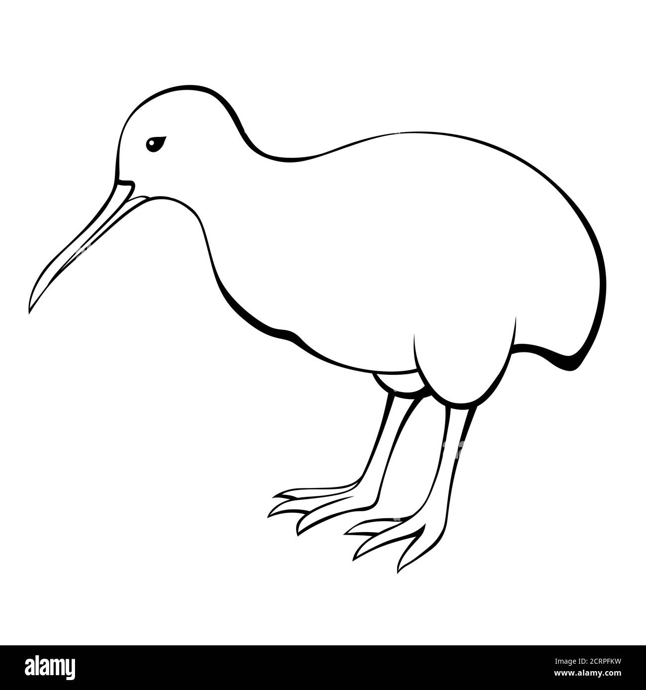 Kiwi Vogel schwarz weiß isoliert Illustration Vektor Stock Vektor